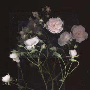 双乳被十几个男人吃奶的更新时间
